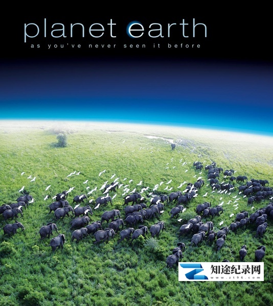 [BBC]地球脉动 Planet Earth-知途纪录片网盘资源下载
