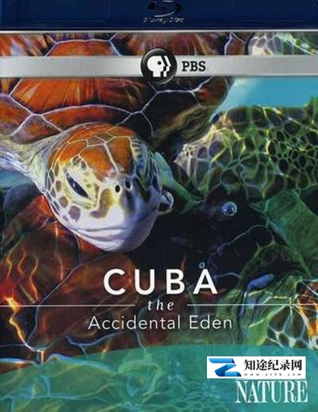 [PBS]古巴：意外的伊甸园 Nature Cuba: The Accidental Eden-知途纪录片网盘资源下载