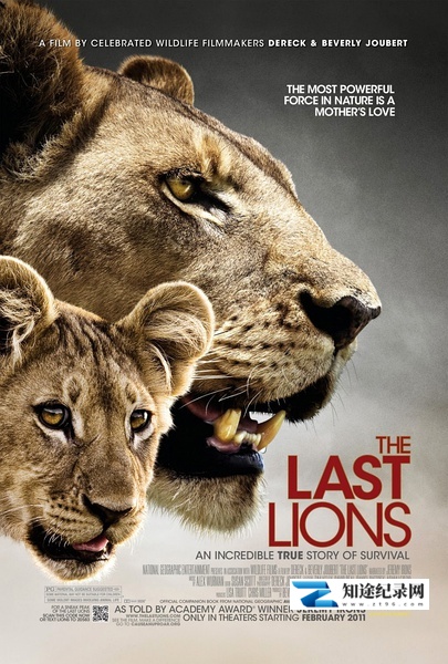 [PBS]最后的狮子 The Last Lions-知途纪录片网盘资源下载