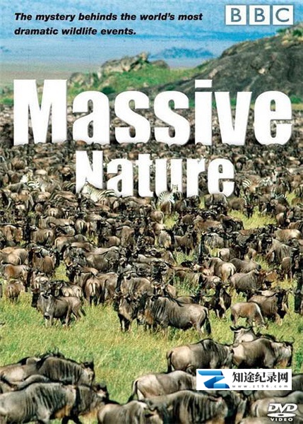 [BBC]群体大自然 Massive Nature-知途纪录片网盘资源下载