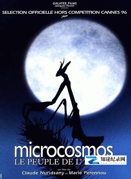[其他]微观世界 Microcosmos: Le peuple de l'herbe-知途纪录片网盘资源下载