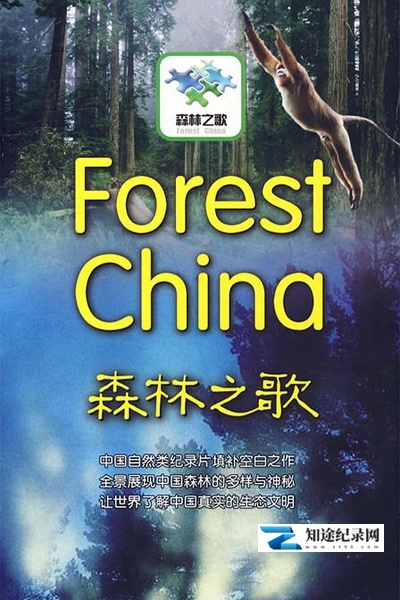 [CCTV]森林之歌 Forest China-知途纪录片网盘资源下载