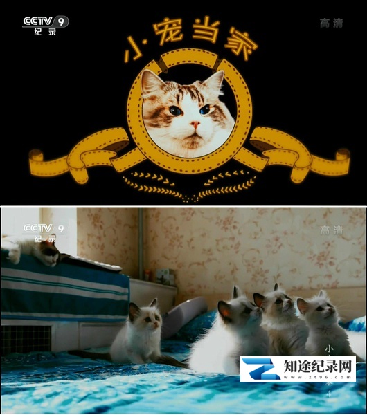 [CCTV]小宠当家 小宠当家-知途纪录片网盘资源下载