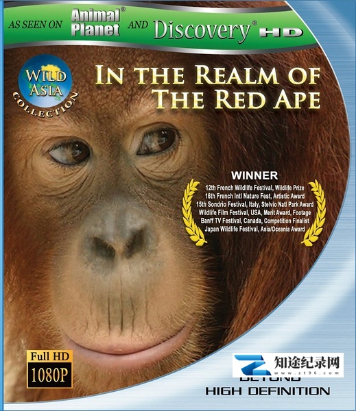 [其他]狂野亚洲 Wild Asia-知途纪录片网盘资源下载