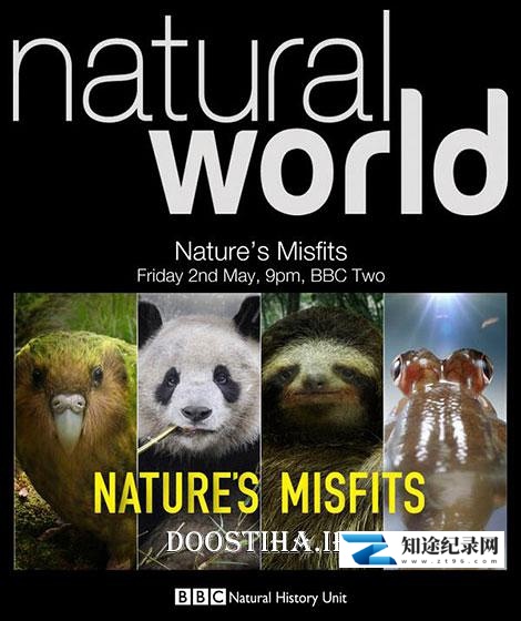 [BBC]大自然里的奇怪动物 Nature's Misfits-知途纪录片网盘资源下载