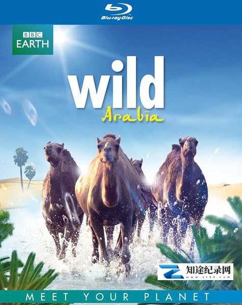 [BBC]狂野阿拉伯 Wild Arabia-知途纪录片网盘资源下载