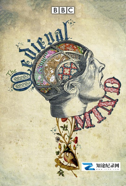 [BBC]中世纪思潮 Inside the Medieval Mind-知途纪录片网盘资源下载