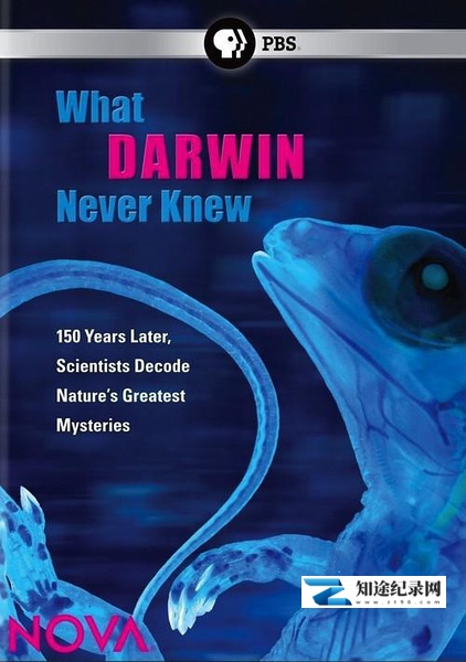 [PBS]达尔文所不知道的事 What Darwin Never Knew-知途纪录片网盘资源下载