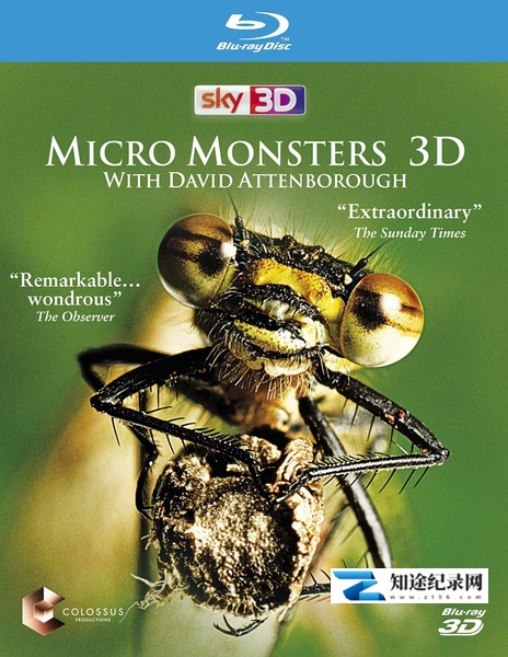 [BBC]微型猛兽世界之旅 Micro Monsters 3D-知途纪录片网盘资源下载