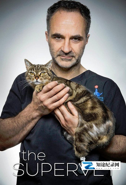 [BBC]超级兽医 第一季 The Supervet Season 1-知途纪录片网盘资源下载