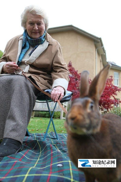 [BBC]和帕特里夏·劳特利奇一起追寻碧翠丝·波特 Beatrix Potter with Patricia Routledge-知途纪录片网盘资源下载