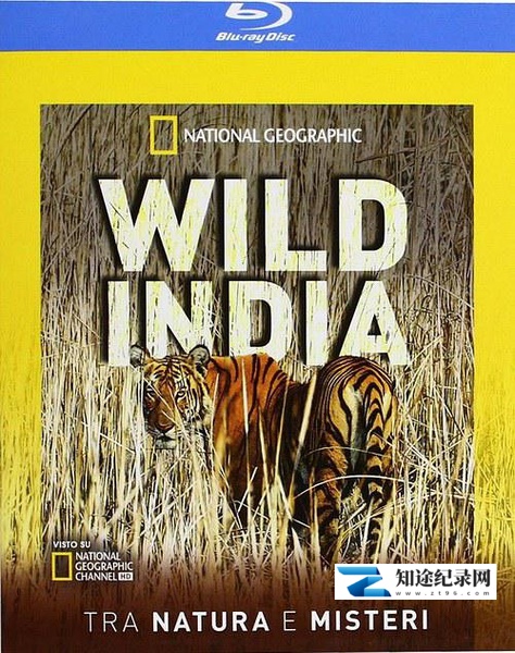 [国家地理]狂野印度 Secrets of Wild India / 野性印度的秘密-知途纪录片网盘资源下载