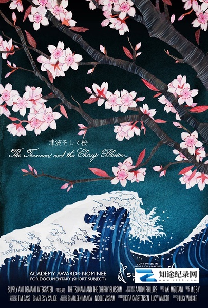 [PBS]海啸与樱花 The Tsunami and the Cherry Blossom-知途纪录片网盘资源下载
