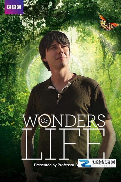 [BBC]生命的奇迹 Wonders of Life-知途纪录片网盘资源下载