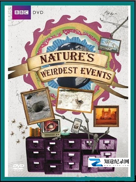 [BBC]大自然怪现象 第1-2季 Nature's Weirdest Events Season 1-2-知途纪录片网盘资源下载