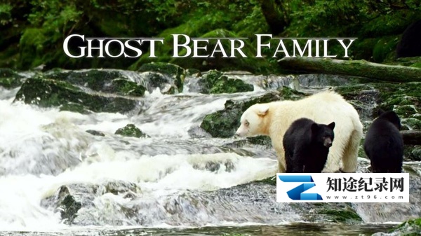 [BBC]灵熊一家 Spirit Bear Family-知途纪录片网盘资源下载