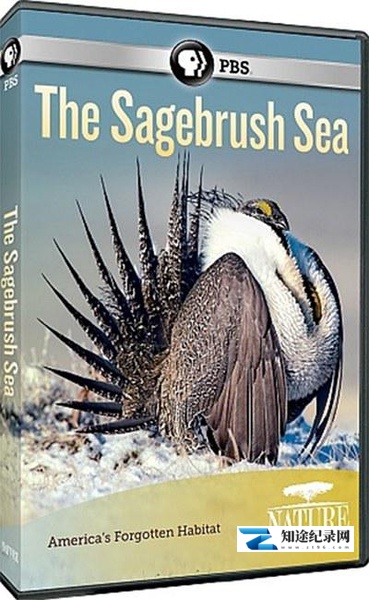 [PBS]艾灌海洋 The Sagebrush Sea-知途纪录片网盘资源下载