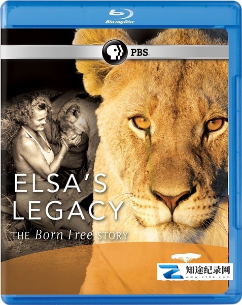 [PBS]自然 – 艾尔莎的遗产：生而自由的故事 PBS: Nature – Elsa's Legacy: The Born Free Story-知途纪录片网盘资源下载