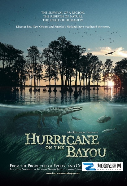 海湾的飓风 / Hurricane on the Bayou
