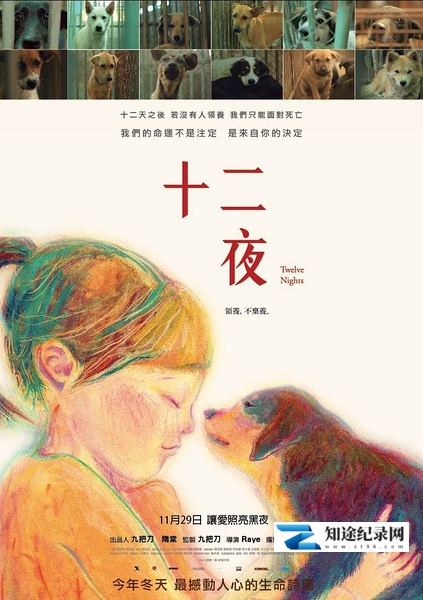 [其他]十二夜 十二夜：那些人类教我们的事/Twelve Nights-知途纪录片网盘资源下载