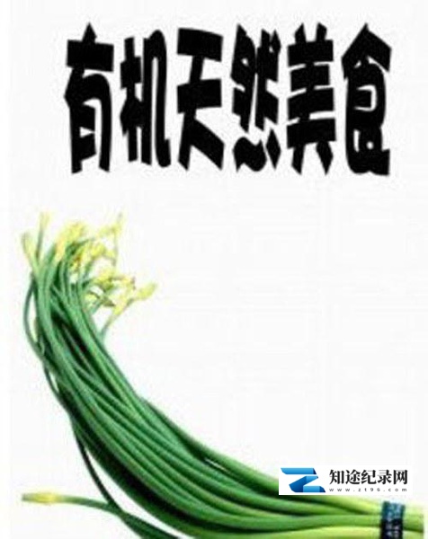 [Discovery]有机天然美食 Under the Sun-知途纪录片网盘资源下载