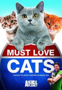 [Discovery]终极指南 家猫 The Ultimate Guide House Cats-知途纪录片网盘资源下载