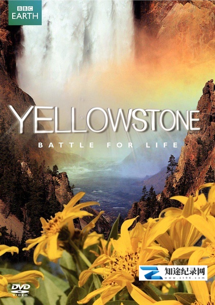 [BBC]黄石公园 Yellowstone-知途纪录片网盘资源下载