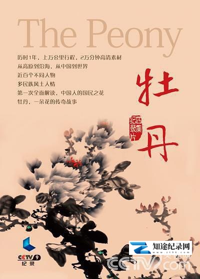 [CCTV]牡丹 The Peony-知途纪录片网盘资源下载