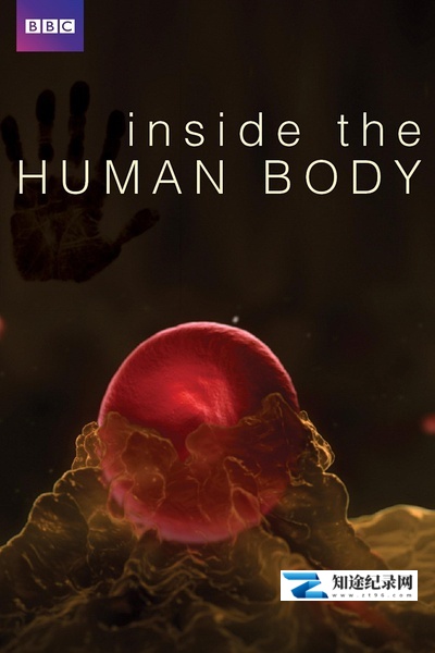 [BBC]人体奥秘 Inside the Human Body-知途纪录片网盘资源下载