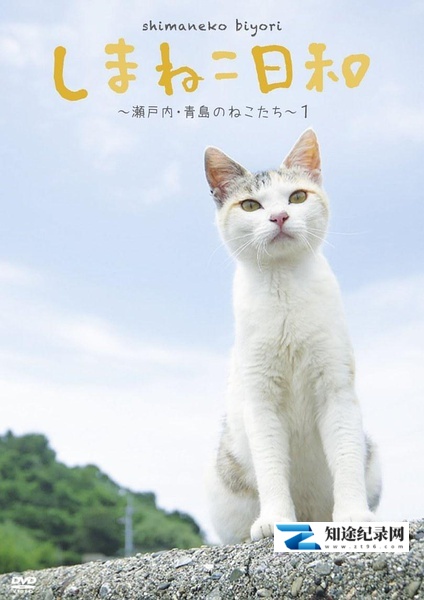 [NHK]俺是猫，欢迎来俺家玩 しまねこ日和～瀬戸内・青島のねこたち～-知途纪录片网盘资源下载