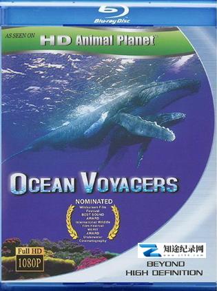 [国家地理]动物星球系列：鲸奇之旅 Ocean Voyagers-知途纪录片网盘资源下载