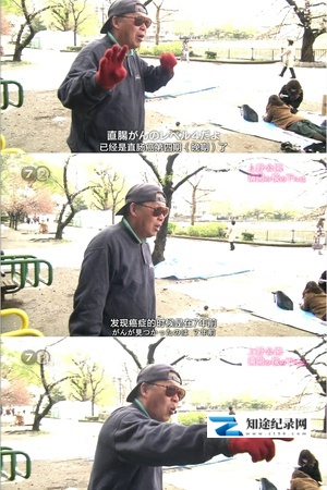[NHK]上野公园 盛开的樱花 上野公園・満開の桜の下には-知途纪录片网盘资源下载