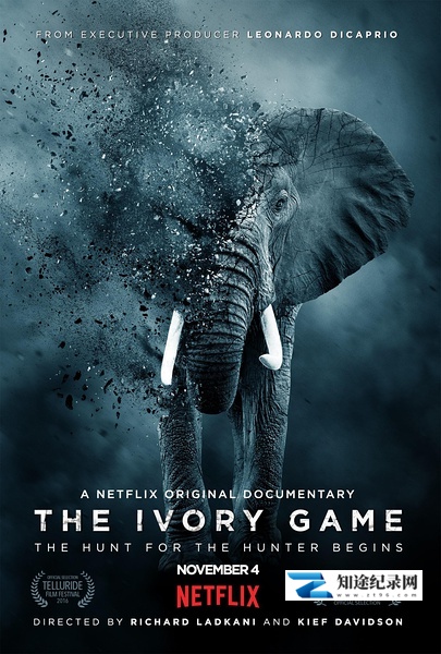 [其他]象牙游戏 The Ivory Game-知途纪录片网盘资源下载