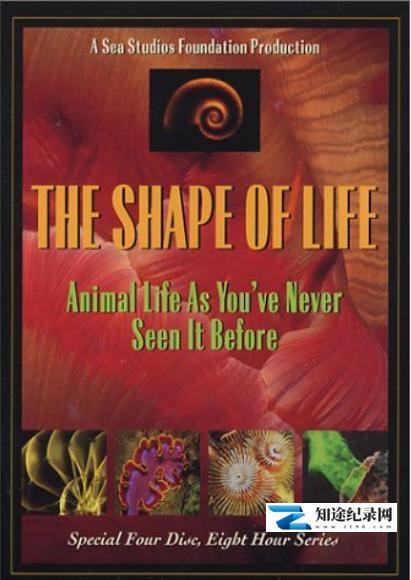 [PBS]生命的形状 Shape of Life-知途纪录片网盘资源下载