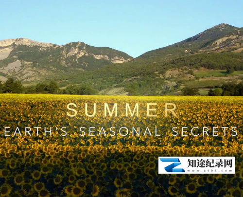 [BBC]夏季——四季的秘密 Summer Earth's seasional Secrets-知途纪录片网盘资源下载