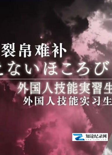 [其他]裂帛难补 ~外国人技能实习生和纺织之乡~ 裂帛难补-知途纪录片网盘资源下载