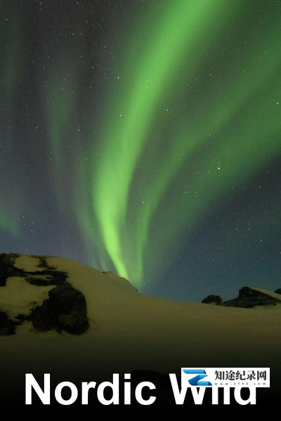 [国家地理]北欧野生风情录 Nordic Wild-知途纪录片网盘资源下载