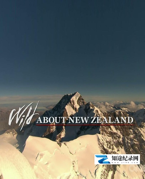 [Discovery]新西兰的狂野之美 Wild About New Zealand-知途纪录片网盘资源下载