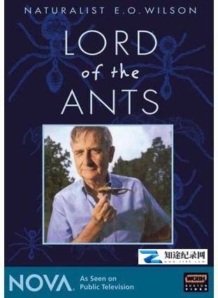 [PBS]蚂蚁专家 Lord of the Ants-知途纪录片网盘资源下载