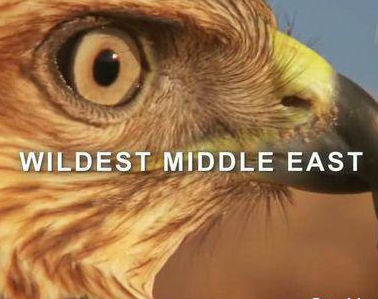 [Discovery]中东野生大地 Wildest Middle East-知途纪录片网盘资源下载