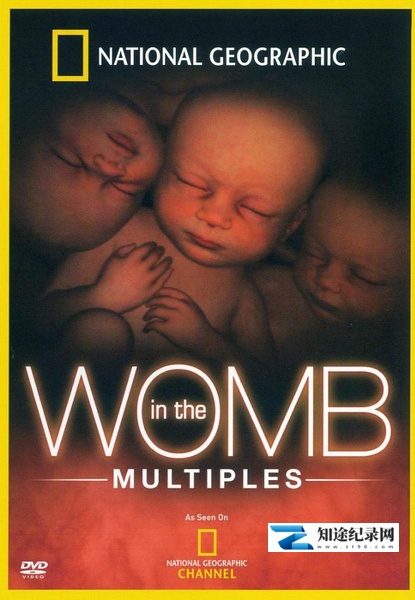 [国家地理]子宫日记：多胞胎 In the Womb: Multiples-知途纪录片网盘资源下载