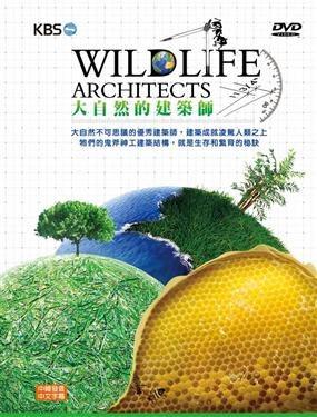 [KBS]大自然的建筑师 Wildlife Architects-知途纪录片网盘资源下载