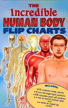 [BBC]解剖非凡人类 Dissected The Incredible Human-知途纪录片网盘资源下载