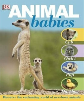 [BBC]动物宝宝 Animal Babies-知途纪录片网盘资源下载