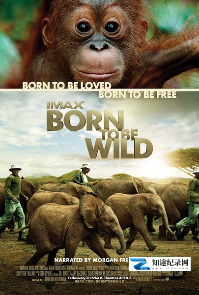 [Discovery]天生狂野 Born to Be Wild-知途纪录片网盘资源下载