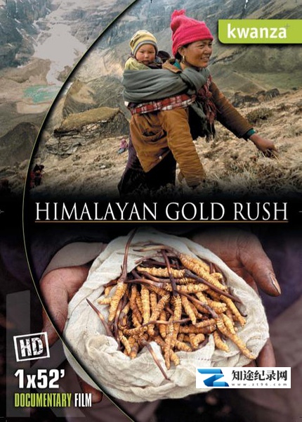 [CCTV]喜马拉雅大淘金 Hymalayan Gold Rush-知途纪录片网盘资源下载