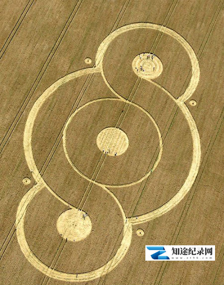 [Discovery]匪夷所思的未解之谜 Weird or What?-知途纪录片网盘资源下载
