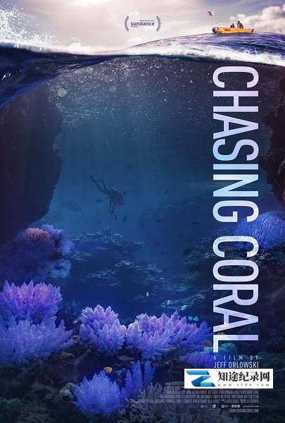 [其他]追逐珊瑚 Chasing Coral-知途纪录片网盘资源下载