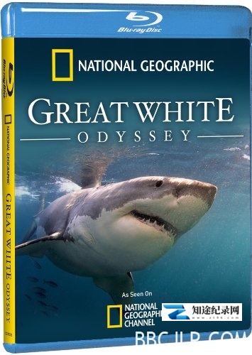 [国家地理]大白鲨的长途冒险旅程 Great White Odyssey-知途纪录片网盘资源下载