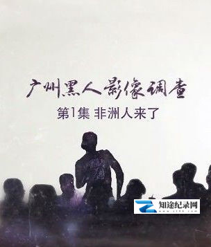 [其他]广州黑人影像调查 广州黑人影像调查-知途纪录片网盘资源下载